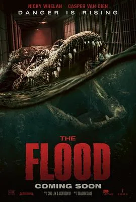 致命洪灾 The Flood